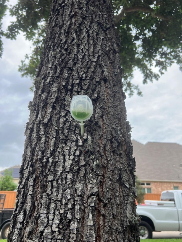 Trunk injection on a customer tree