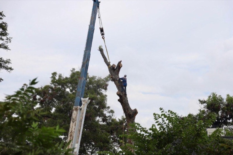 Crane-assisted removal in Brookshire, Texas
