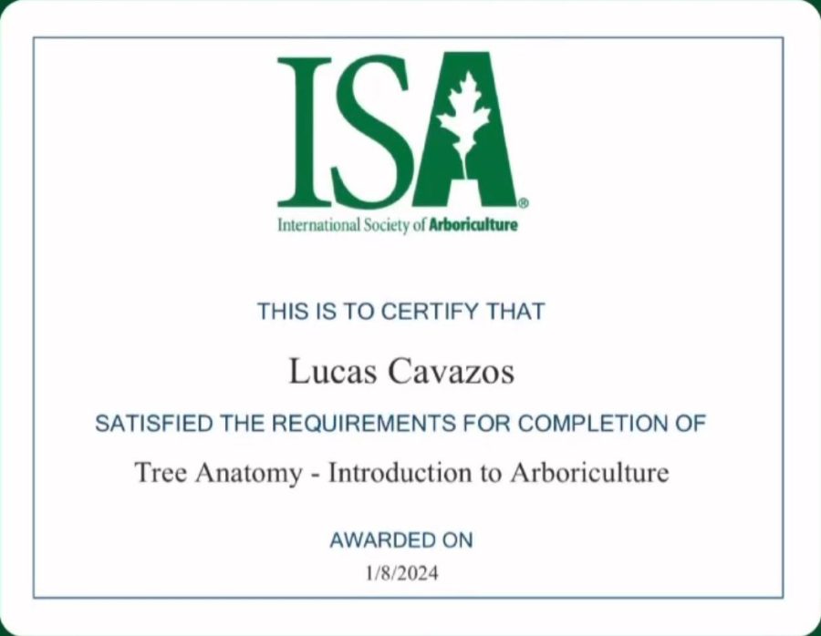 ISA certificate: Tree Anatomy, awarded to Lucas Cavazos