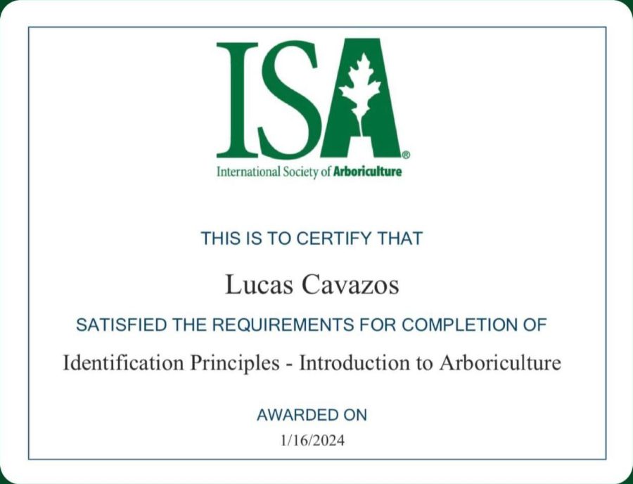 ISA certificate: Tree Identification, awarded to Lucas Cavazos
