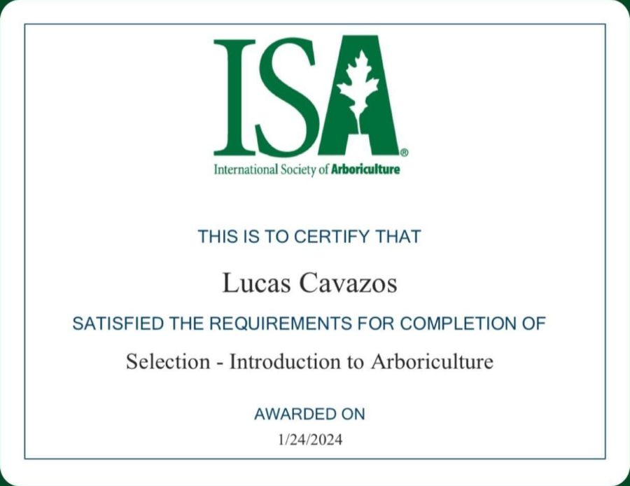 ISA certificate: Tree Selection, awarded to Lucas Cavazos